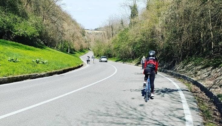 Bologna, arriva la zona 50 in collina. I residenti: “Forzati a usare l’auto senza bus adeguati”