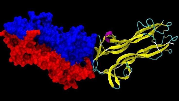 Scudi per il cervello