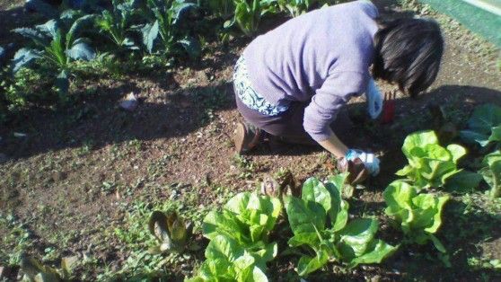 La e-bottega in movimento, il cibo sano ovunque grazie alla rete