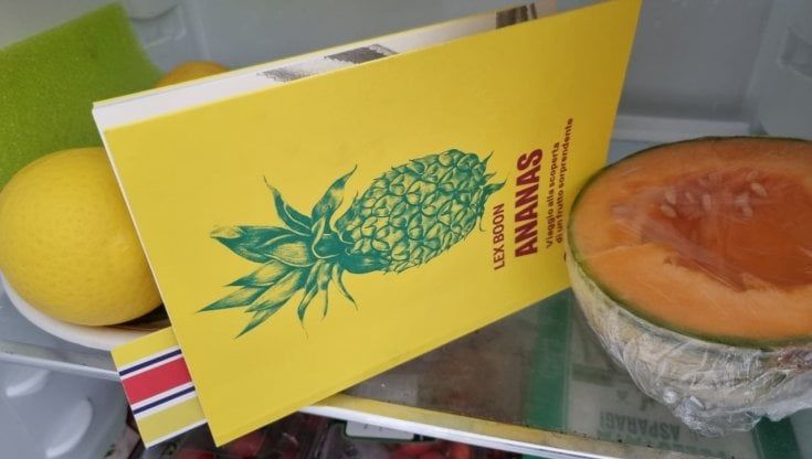 L’uomo e l’ananas 