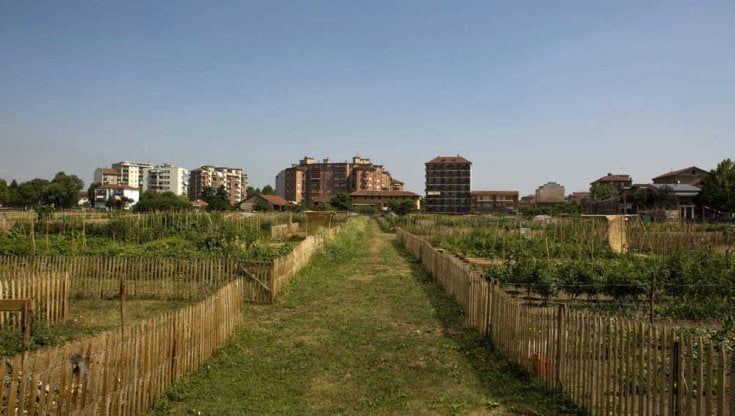 Vita green ed energia pulita, gli Orti generali di Mirafiori fanno bene alla città