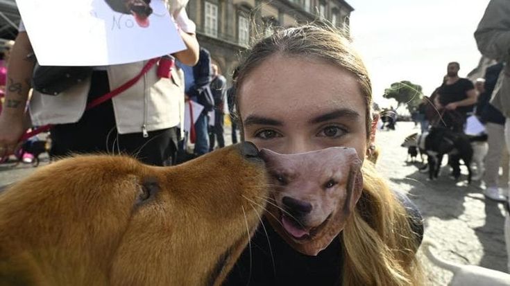 No ai cani a Palazzo Reale, i proprietari in piazza. Il direttore Epifani: “Disposti a valutare proposte”