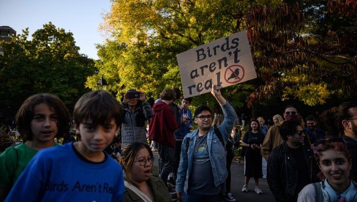 "Birds aren't real", in 2mila manifestano a New York per la finta teoria del complotto degli uccelli
