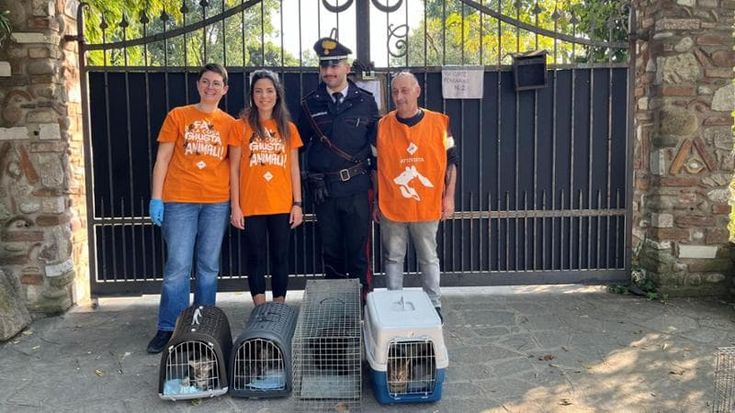 Dopo l'omicidio di Dolores Dori abbandonati cani e gatti nel campo rom rimasto deserto a Lonato