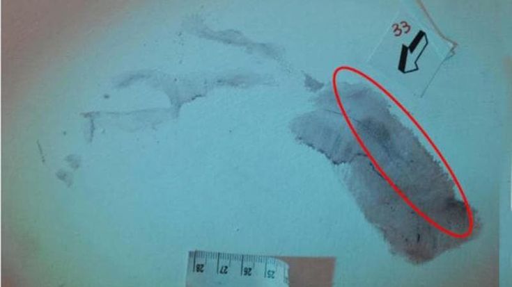 Garlasco e la nuova versione sull’impronta 33, i 7 esperti del Ris: “Analisi di Garofano insensate”