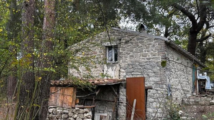 Il padre dei bambini nel bosco: “Io non sono matto, scelgo la natura. Riporterò a casa i miei figli”