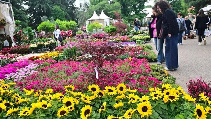 “Giardini&Terrazzi”, 170 espositori da venerdì a domenica. Ed è caccia alla rosa di Bologna