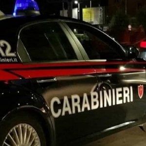 Rimini, in un allevamento abusivo animali in pessime condizioni, droga e armi