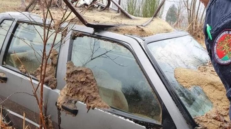 Cimitero delle auto abbandonate. Una legge avvierà la bonifica