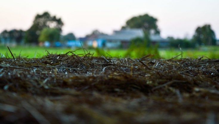 Neutralità climatica nel 2030: Parma si candida a entrare fra le prime 100 città europee