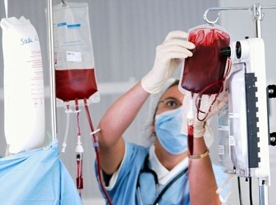 Corte Ue: giustificata esclusione gay da donazioni sangue