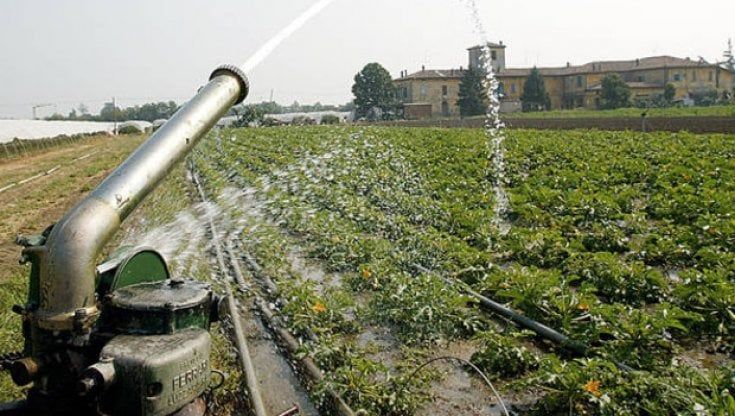 DL Sostegni, Coldiretti: "Ottenuto il taglio del costo  del lavoro nell'agricotura"