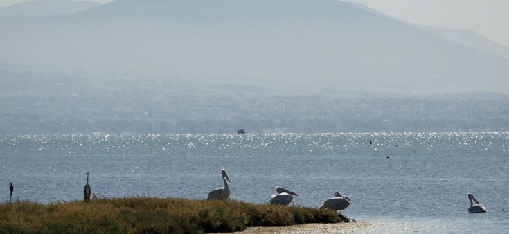 365 volte Europa. Italiani, greci: una faccia, una razza