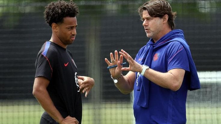 I limoni di Pochettino