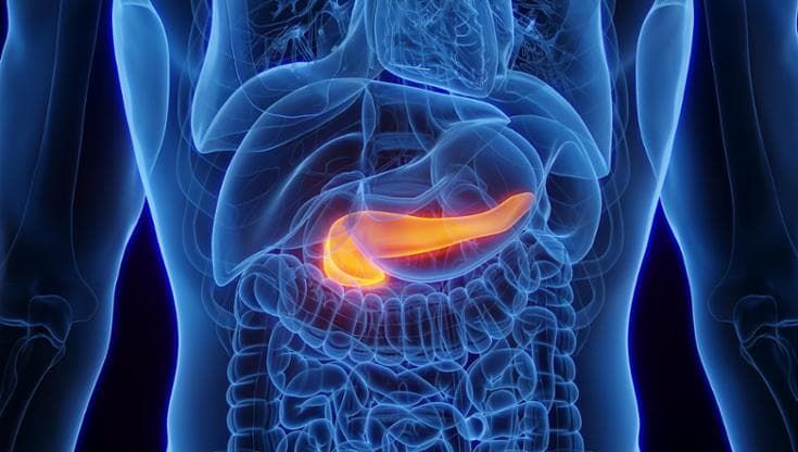 Tumore del pancreas, approvato farmaco target per i pazienti con la mutazione Brca
