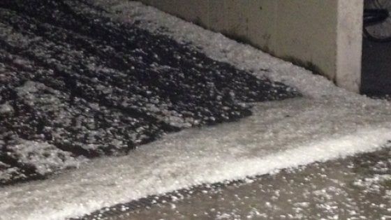 Grandinata nel Bolognese, Coldiretti chiederà i danni: "Chicchi grandi come albicocche"