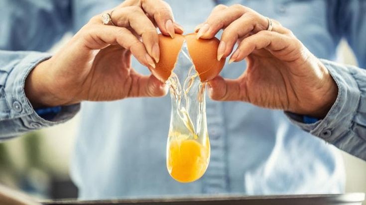 È nato prima l’uovo o la gallina? La risposta in uno studio dell’università di Ginevra