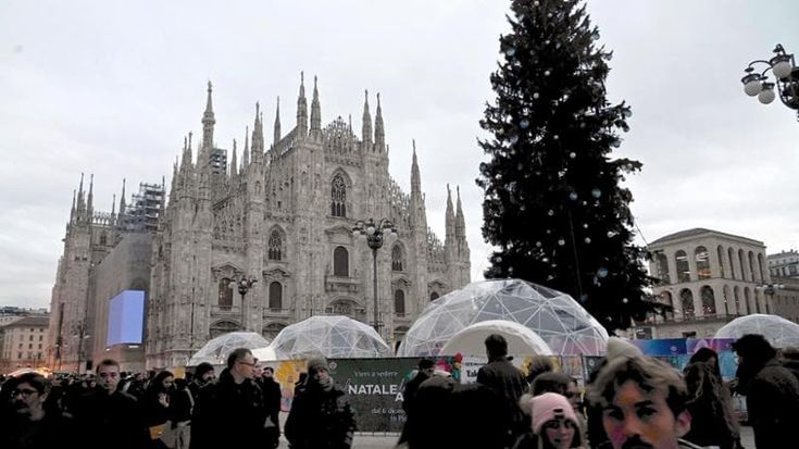 Griffati, olimpici, riciclabili: gli alberi di Natale e le luminarie accendono la città per le feste
