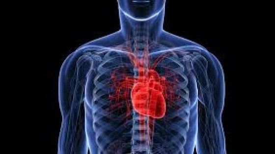 Cardiologi: "Valvole cardiache senza bisturi anche nei più giovani"