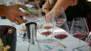 Il Barolo a Serralunga cambia ritmo: il 2023 si beve già, ma non rinuncia al tempo