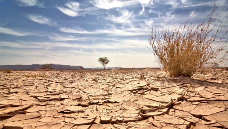 Sfide e opportunità della transizione green