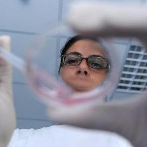 Fecondazione, verso i bebè senza ovuli: i primi risultati sui topi