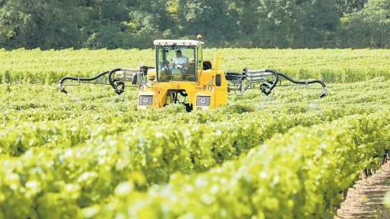 “Le Pmi facciano squadra così la filiera alimentare vola”