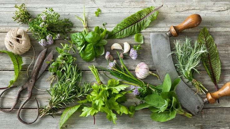 Dalla gremolada alla verbena: la nuova vita delle erbe aromatiche nei ristoranti di Milano