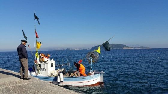 Ischia, arrivano gli yacht sul pontile dei pescatori e parte la protesta: “Così rubano l’identità del luogo”