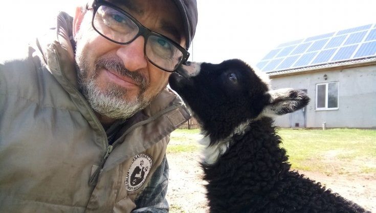Italiano bloccato a Kiev nel suo rifugio per animali: "Siamo senza acqua né cibo, salvateci"
