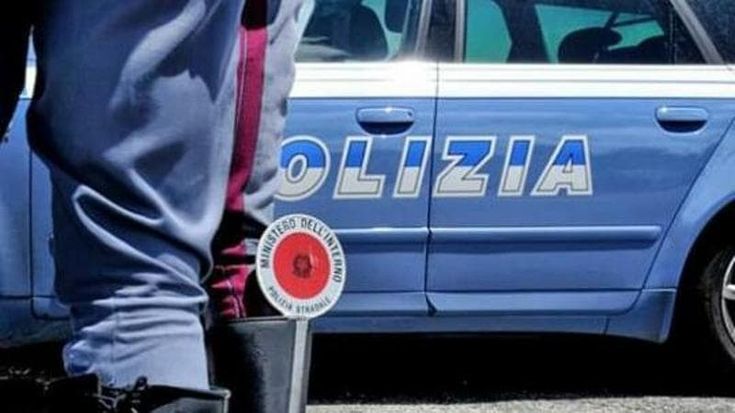 Fermato perché procede a zig zag, nel furgone ha 8 pecore e capre (la metà morte): denunciato
