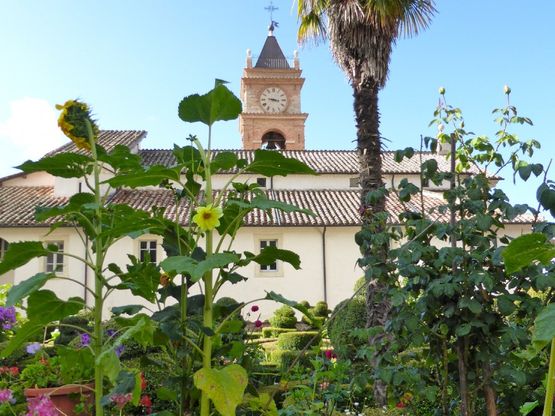 Certosa di Trisulti nel degrado: il monastero da salvare