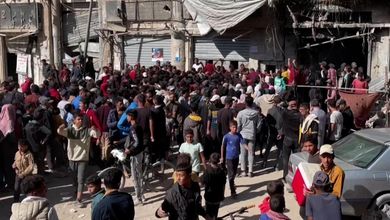 Gaza, l'assalto ai forni per il pane. La Fao: "C'è il rischio di una carestia"