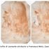 Scoperto il profilo di Leonardo, nascosto nel Codice Atlantico