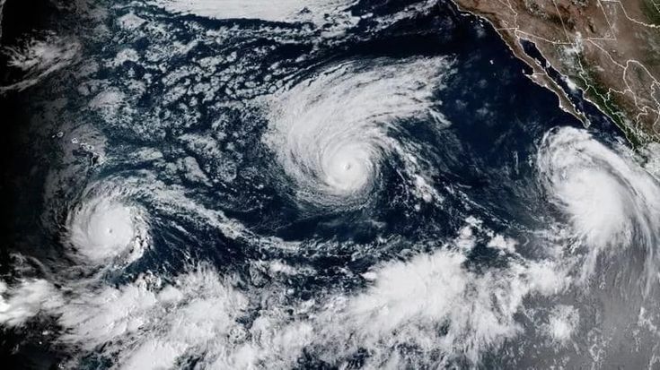 Clima, lo strano caso dell’inverno mite che ci aspetta. E perché c’entra El Niño