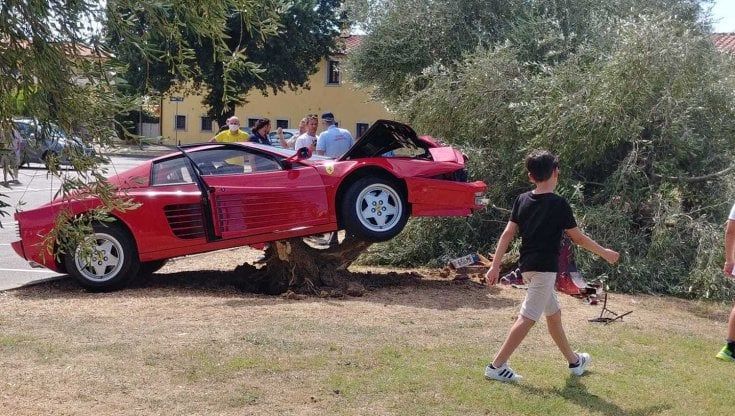 Si schianta contro un ulivo con la Ferrari Testarossa mentre fa un video
