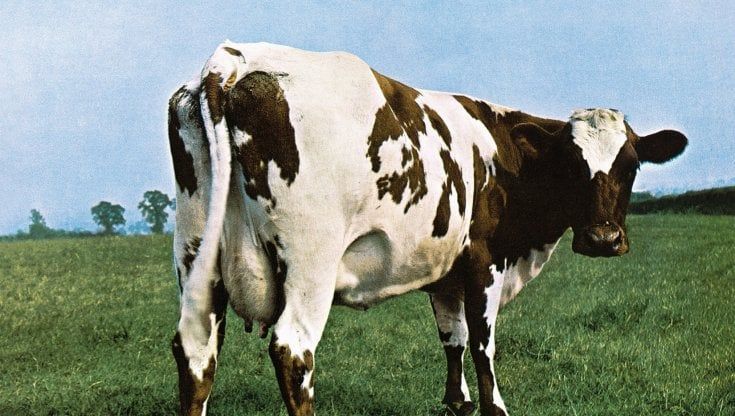 Pink Floyd e Queen in mostra in Puglia, il Medimex celebra le due band simbolo del rock