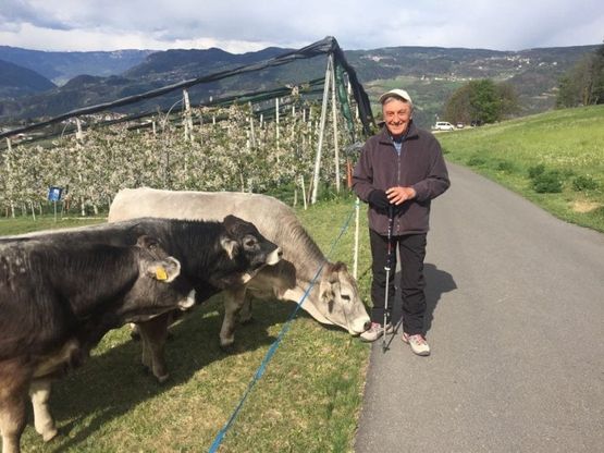 Bassolino in posa con le mucche, "sfida" Berlusconi
