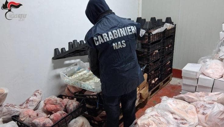 Lecce, sequestrati 22 quintali di carne non tracciata: pronta alla vendita. Nuovo caso in 10 giorni