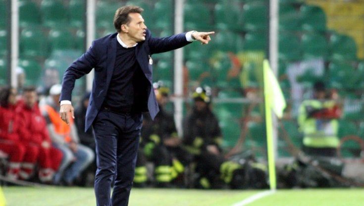 In rosanero e a Catania: tutta la Sicilia di "Monzon" Novellino