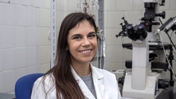 "Così ho riattivato i neuroni di un maiale"