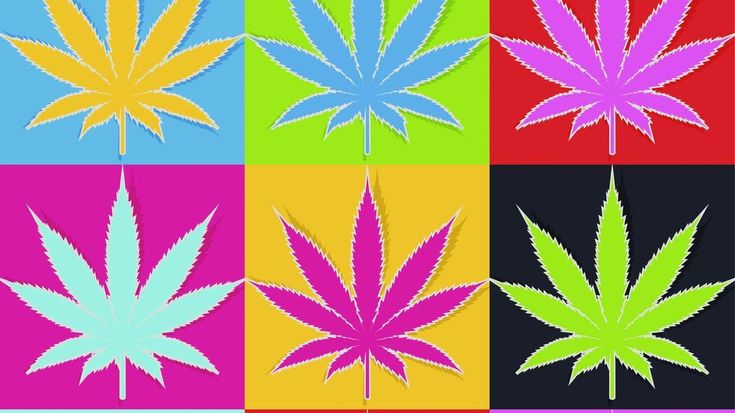 Quando la cannabis è nella ricetta