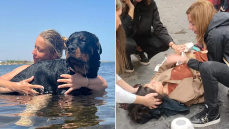 Il giallo del rottweiler precipitato: le ipotesi dei gatti, dello sparo o del cannone del Gianicolo. Come è morto Cody