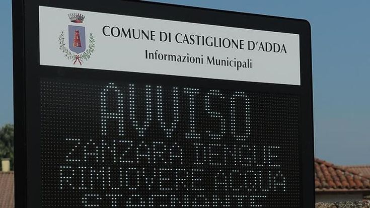 Virus Dengue, il virologo Baldanti: “Con i cambiamenti climatici un rischio in Pianura padana, servono screening di massa”