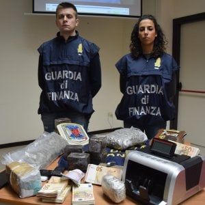 Bari, 440 chili di droga nel diserbante e tra i filari d'uva: arrestato bracciante di 52 anni
