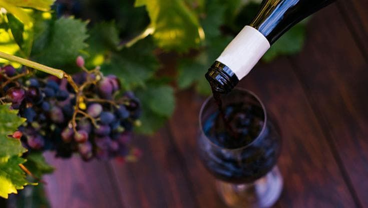 Viaggio nell’Oltrepò Pavese, il regno italiano del Pinot Nero