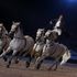 Fieracavalli 2013: a Verona la cittadella dell'equitazione