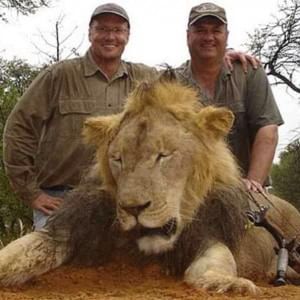 Zimbabwe chiede l'estradizione del killer del leone Cecil