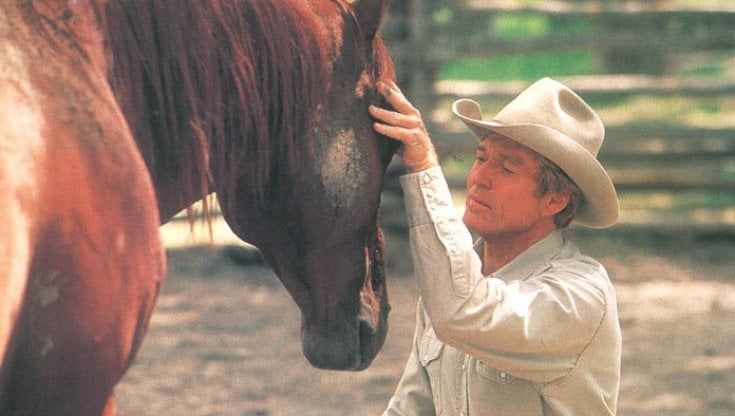 Morto Nicholas Evans, autore del best seller 'L'uomo che sussurrava ai cavalli'
