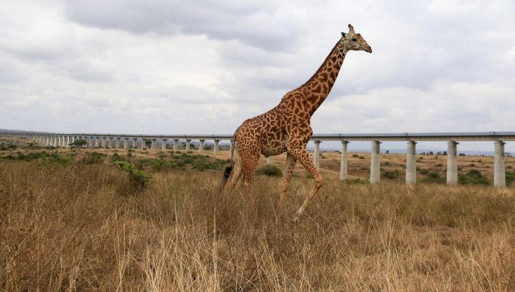 Kenya, alta velocità "cinese" per unirla all'Uganda. Ma il progetto si è fermato